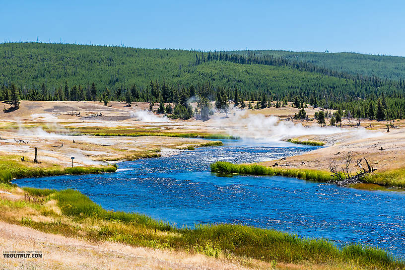  From the Firehole River in Wyoming.