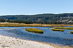  From the Firehole River in Wyoming.