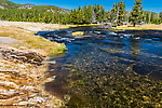  From the Firehole River in Wyoming.