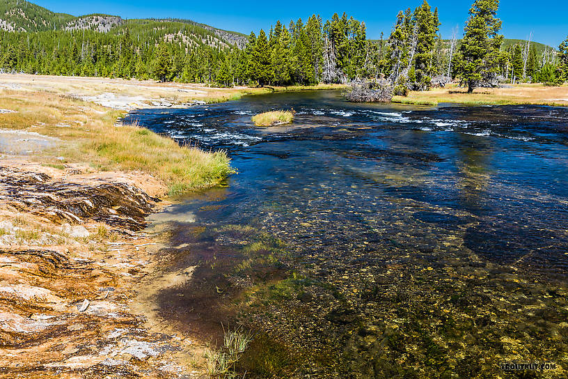  From the Firehole River in Wyoming.