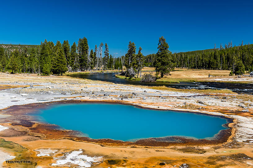  From the Firehole River in Wyoming.