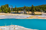  From the Firehole River in Wyoming.