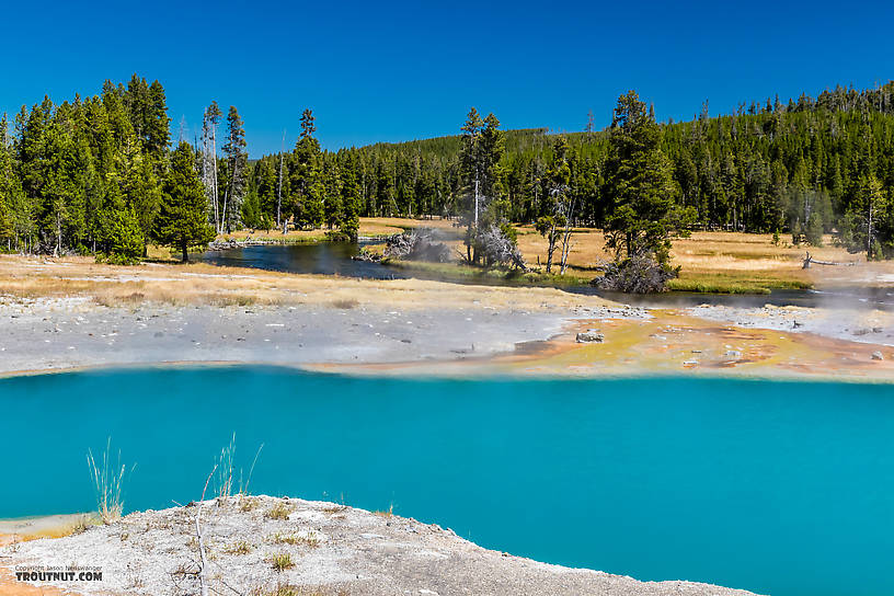  From the Firehole River in Wyoming.