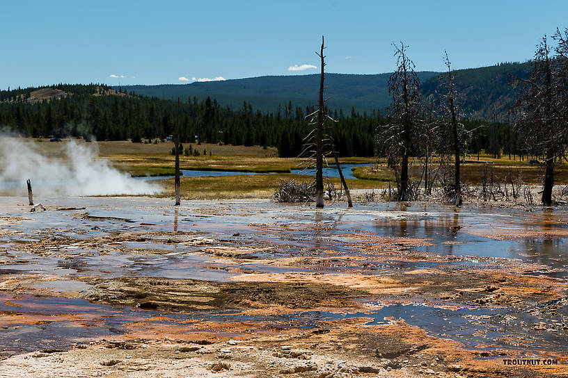  From the Firehole River in Wyoming.