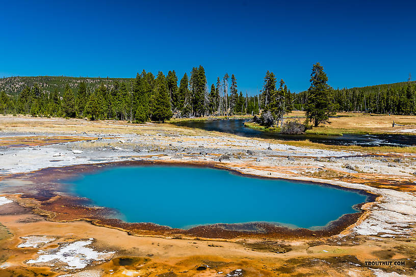  From the Firehole River in Wyoming.