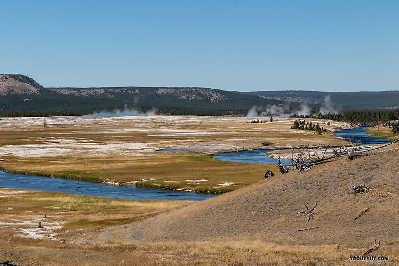  From the Firehole River in Wyoming.