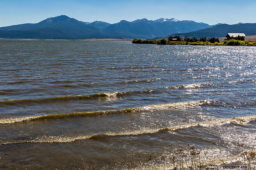  From Henry's Lake in Idaho.