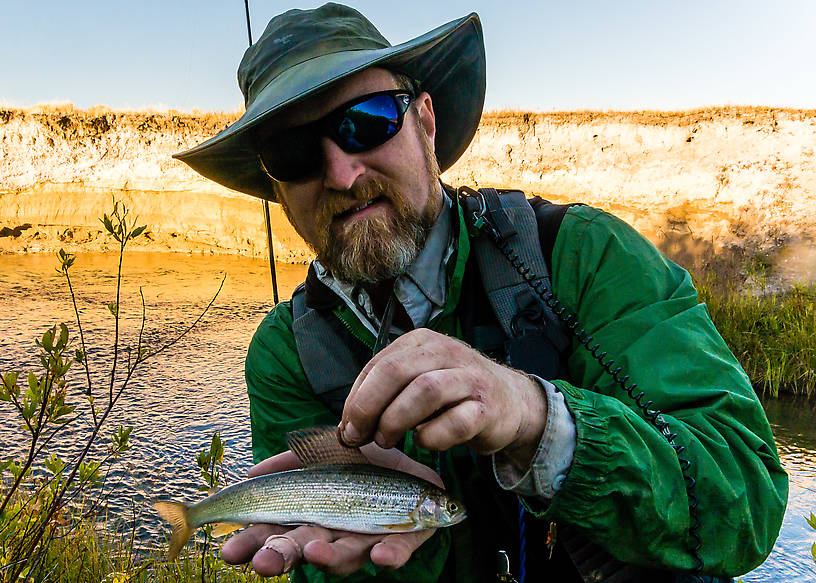 My first native Arctic Grayling caught outside of Alaska! It was one of a few I caught around that size, while my wife caught a bigger one around 15 inches. From Mystery Creek # 237 in Montana.