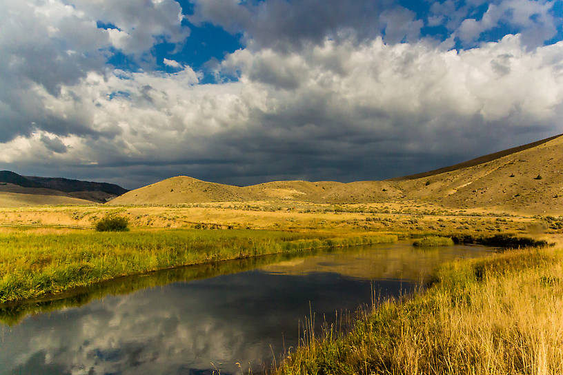  From Mystery Creek # 238 in Montana.