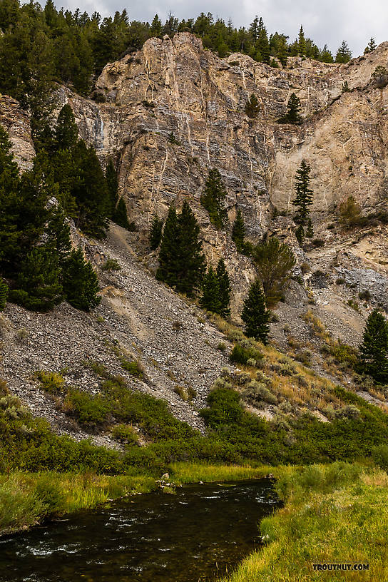  From Mystery Creek # 238 in Montana.