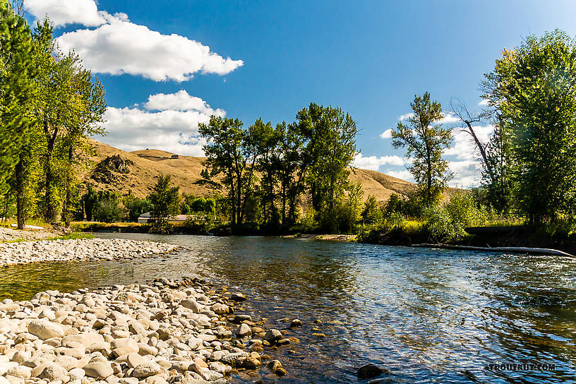  From the Bitterroot River in Montana.