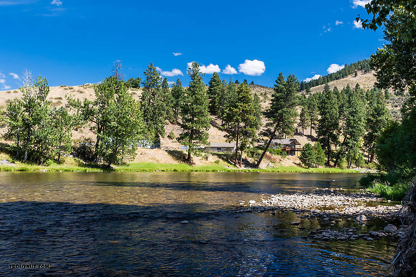  From the Bitterroot River in Montana.