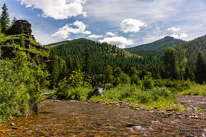  From the North Fork Couer d'Alene River in Idaho.