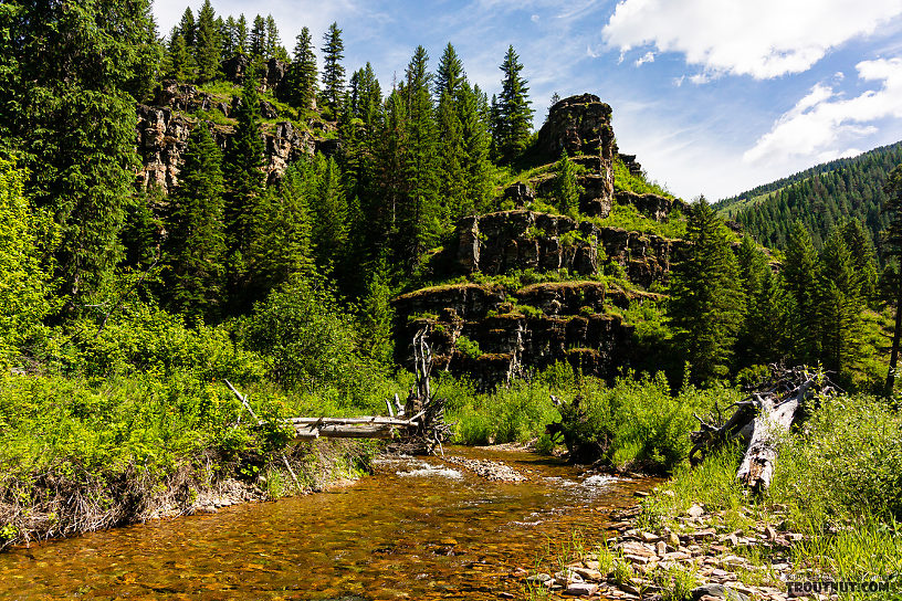  From the North Fork Couer d'Alene River in Idaho.