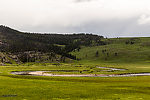  From Slough Creek in Wyoming.