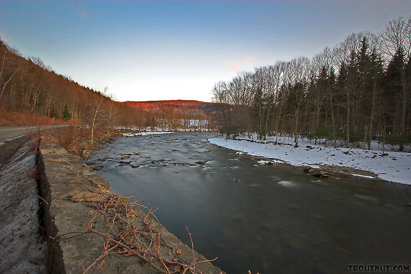  From the Beaverkill River in New York.