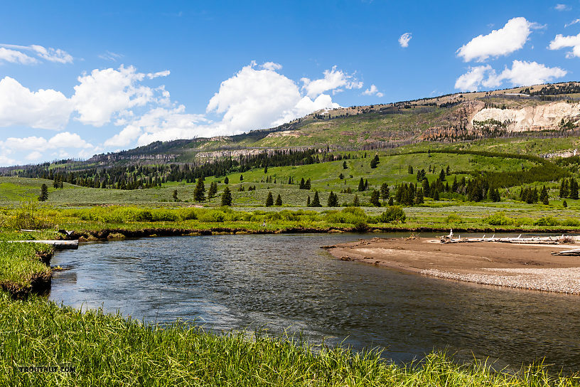  From Slough Creek in Wyoming.