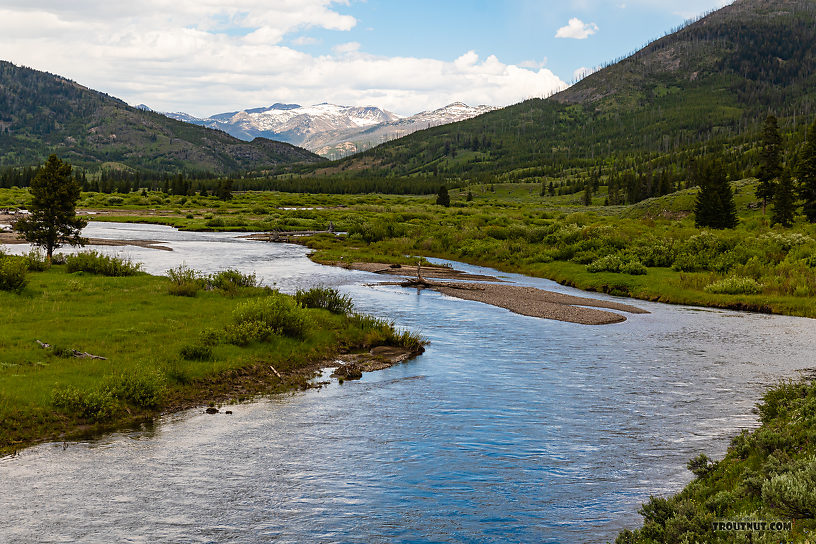  From Slough Creek in Wyoming.