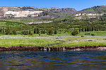  From Slough Creek in Wyoming.