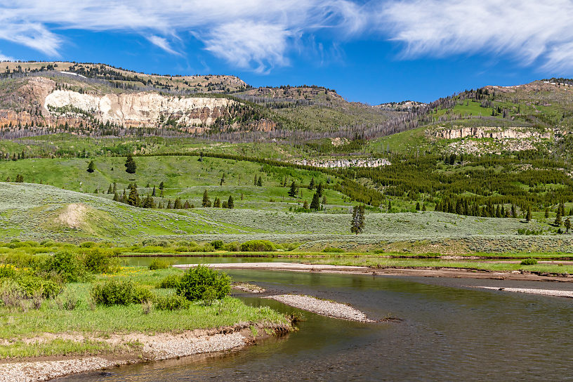  From Slough Creek in Wyoming.