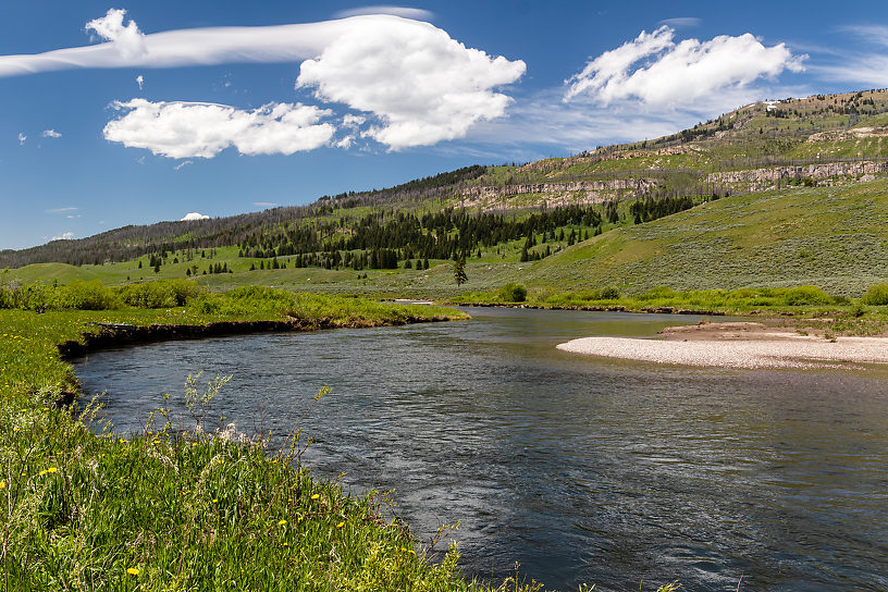  From Slough Creek in Wyoming.