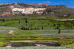  From Slough Creek in Wyoming.