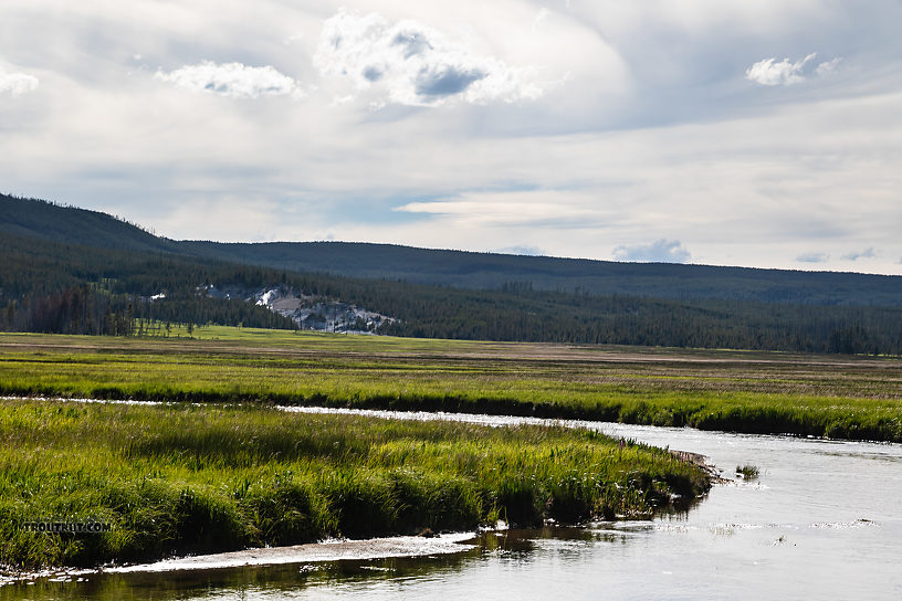 Gibbon River with Norris Geyser Basin in the distance From the Gibbon River in Wyoming.