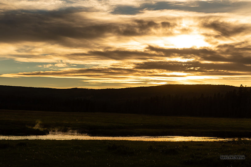  From the Gibbon River in Wyoming.