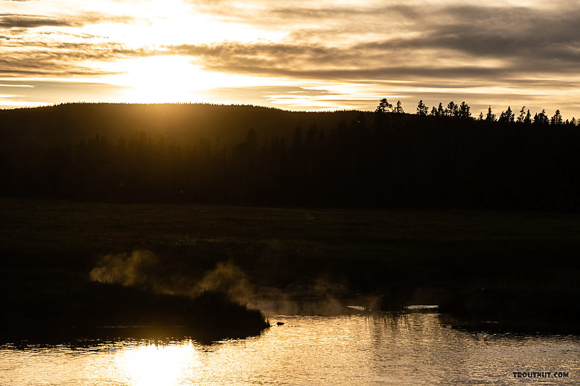  From the Gibbon River in Wyoming.