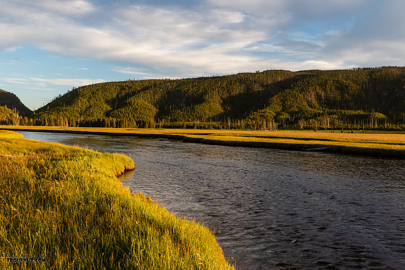  From the Gibbon River in Wyoming.