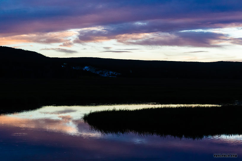  From the Gibbon River in Wyoming.