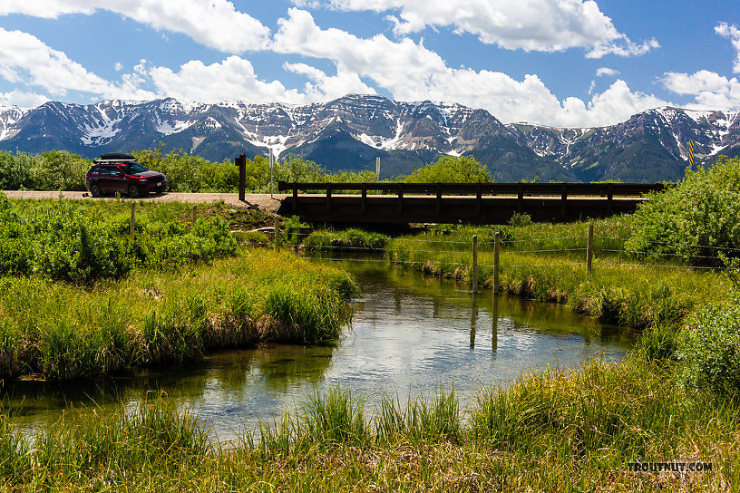  From Mystery Creek # 244 in Montana.