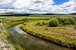  From Mystery Creek # 244 in Montana.