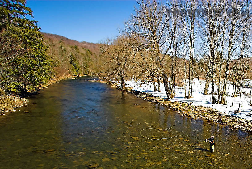  From Willowemoc Creek in New York.