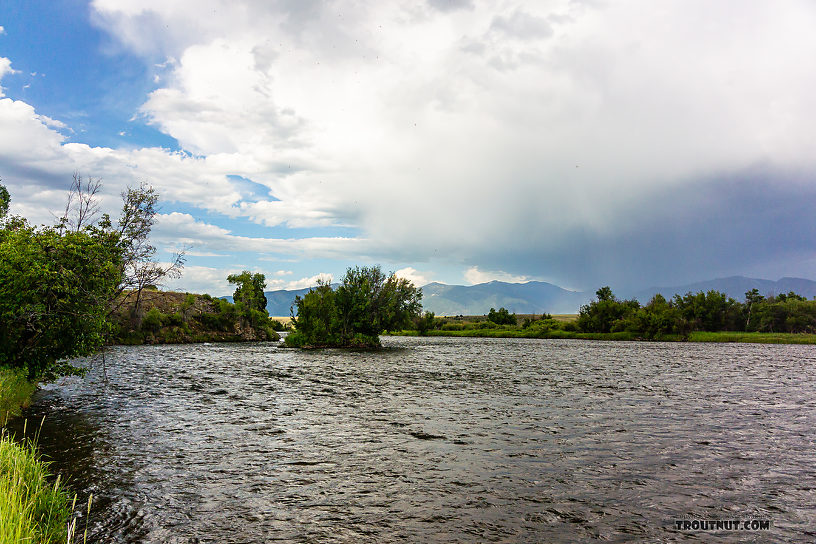  From the Madison River in Montana.