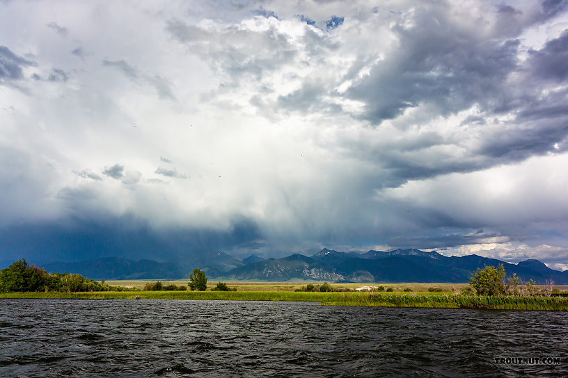  From the Madison River in Montana.