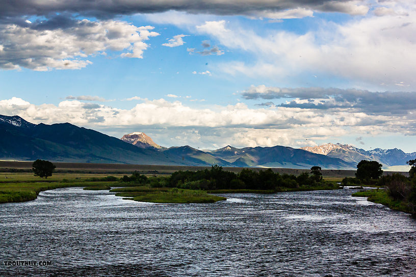  From the Madison River in Montana.