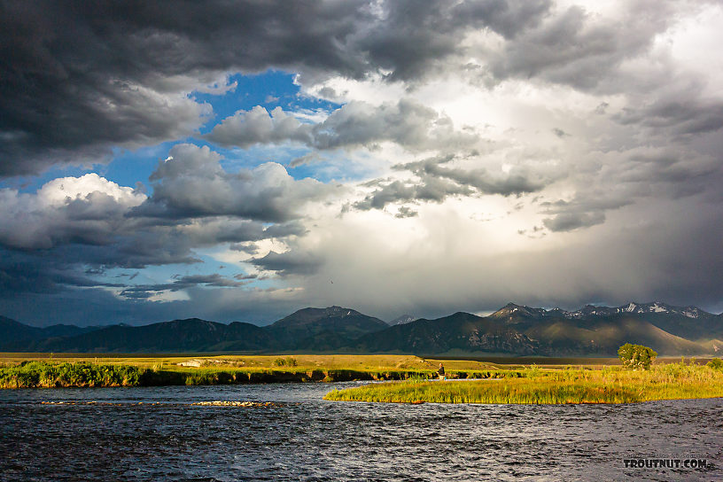  From the Madison River in Montana.