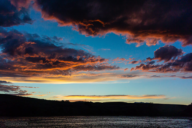  From the Madison River in Montana.