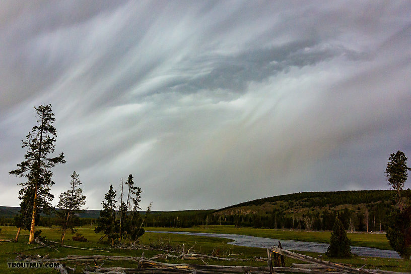  From the Firehole River in Wyoming.