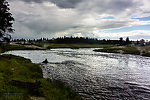  From the Firehole River in Wyoming.