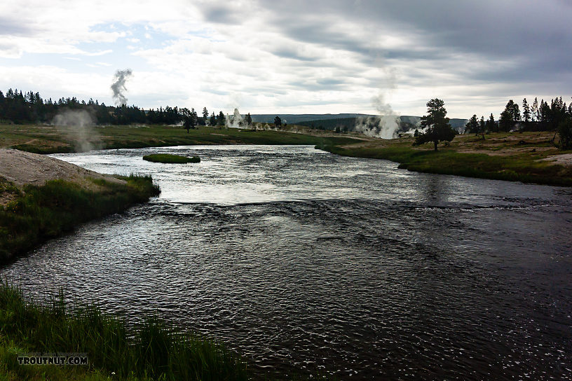 It was surreal fishing this water up through the geyser basin at Fountain Flats. From the Firehole River in Wyoming.