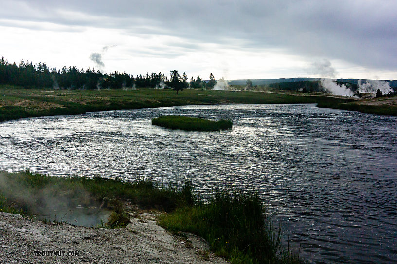  From the Firehole River in Wyoming.