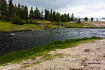  From the Firehole River in Wyoming.