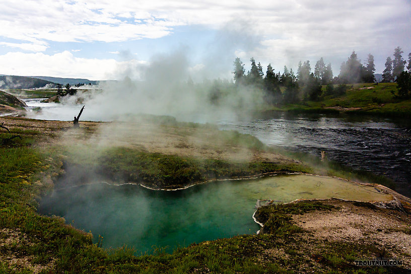  From the Firehole River in Wyoming.