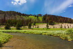  From the Gallatin River in Montana.