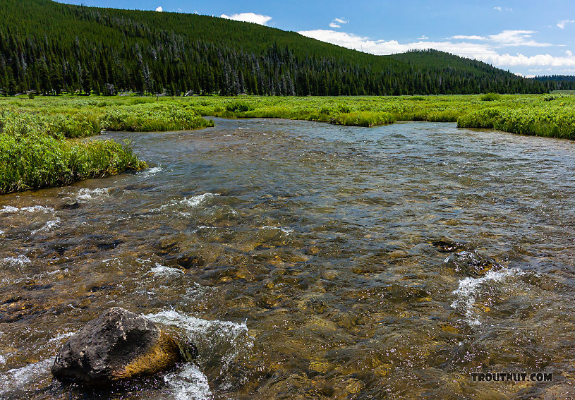  From the Gallatin River in Montana.