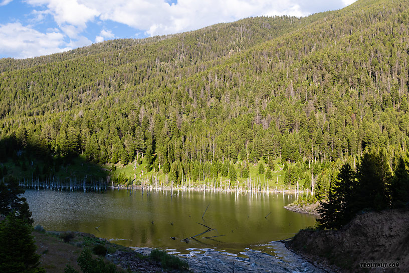 Outlet of Earthquake Lake on the Madison. From the Madison River in Montana.