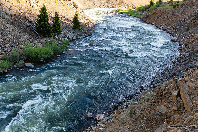  From the Madison River in Montana.