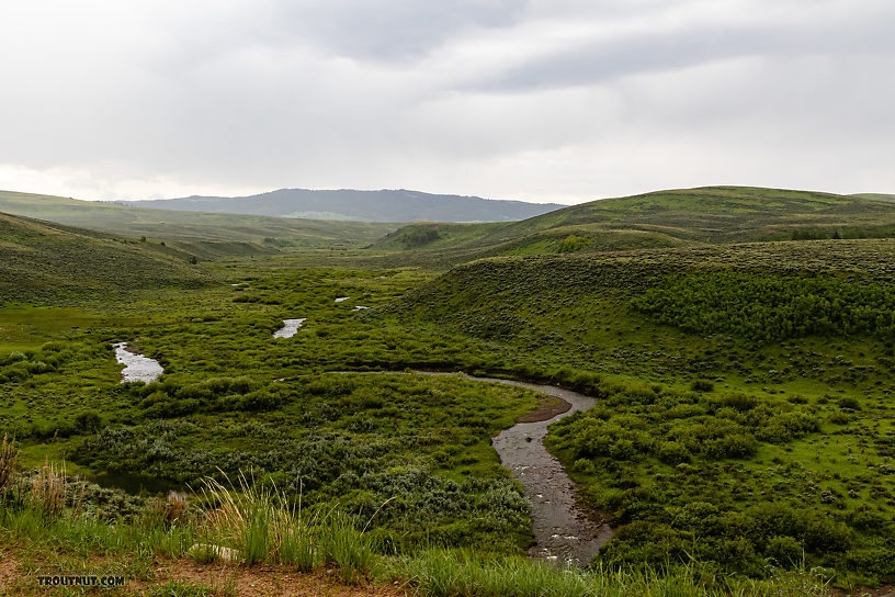 Open country way up in the headwaters of the Ruby near the Gravelly Range road. From the Ruby River in Montana.